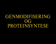 Genmodifisering og proteinsyntese 