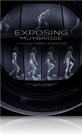 Exposing Muybridge